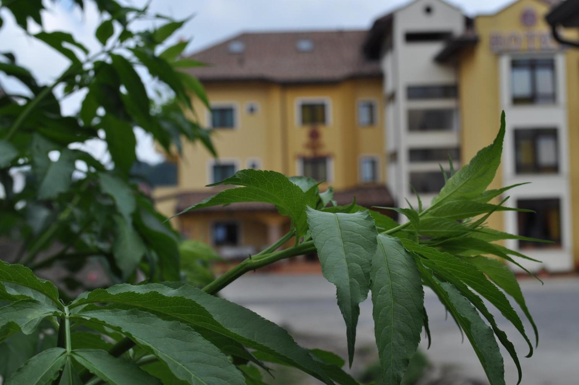 Hotel Duca Di Calabria Serra San Bruno Buitenkant foto